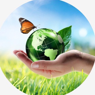 Логотип @ecoidealofficial - ECOIDEAL