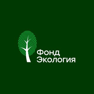 Логотип @ecologyfund - Фонд "Экология"