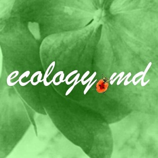 Логотип @ecologymd - Ecology.md - живое измерение, родовые поместья