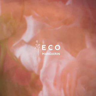 Логотип @ecomandarin - ecomandarin