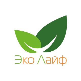 Логотип @econetworkingchat - ECO-НЕТВОРКИНГ