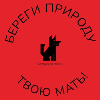 Логотип @econevid4l - БПТМ_Волгоградская область