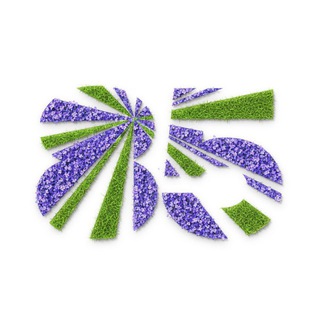 Логотип @econmsu - Экономический факультет МГУ им. М. В. Ломоносова