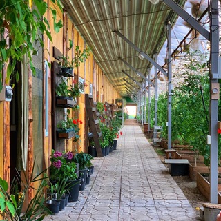 Логотип @ecopekshaa - ЭкоПекша- Авторский проект🧡