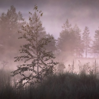 Логотип @ecopoxodmv - Экопоходы с Михаилом Веревченко.