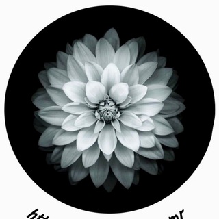 Логотип @edifymmr - E D I F Y ✨