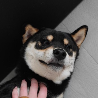 Логотип @edinica_izmereniya - Единица измерения