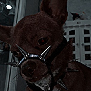 Логотип @edit_video0936 - 𝑺𝒍𝒊𝒗 𝒗𝒊𝒅𝒆𝒐