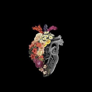 Логотип @editionstaff - ⚜️EDITION⚜️