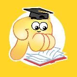 Безкоштовне навчання | Стажування