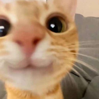 Логотип @edwardshow9 - EdwardShow9