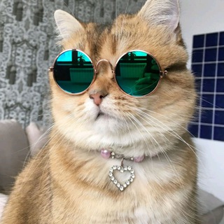 Логотип @eezee_stickers - ДНК-стикеры 🧬