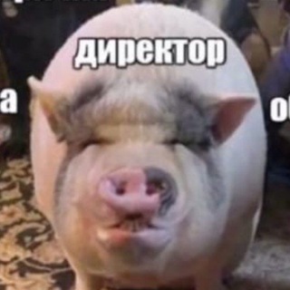 Логотип @efrontof - Плохие шутки