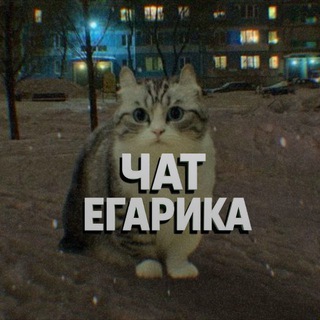 Логотип @egarikchat - чат егарика🥸