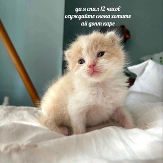 Логотип @ege_literatura2024 - егэ | литература 2024