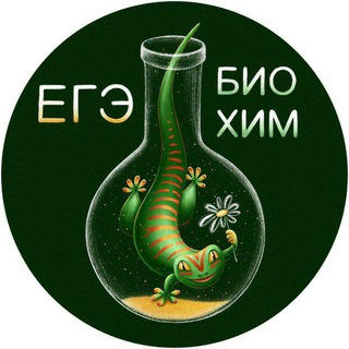 Логотип @egechimbio - Мутабор 🦎