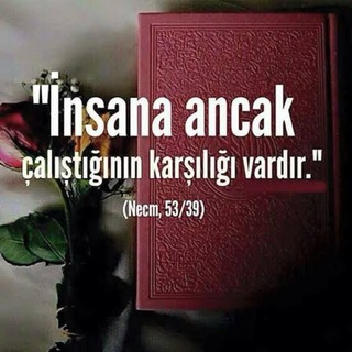 Логотип @egitimbilimlerisoru - KPSS Eğitim Bilimleri 2022 soru çözümü