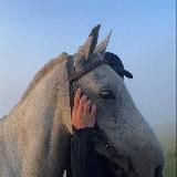 Логотип @egoicct - .