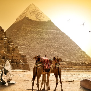 Логотип @egyptinfo - 🇪🇬 Египет • Информация