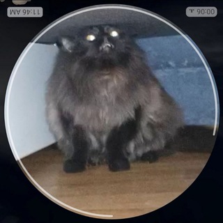 Логотип @ehottgk - Бункер контента от Енота