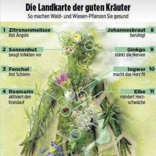 Логотип @eigenverantwortlichgesunden - Eigenverantwortlich gesunden 🌿🙏💚 vom Objekt der Begierde weg in die Eigenverantwortung 🙏🌿💚