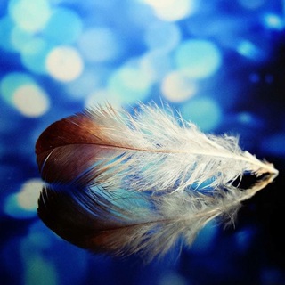 Логотип @einfachneu - Interessant, News und Unterhaltung