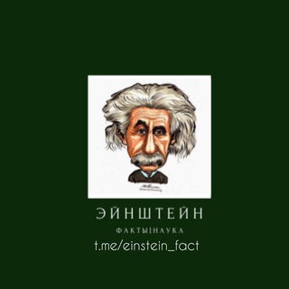 Логотип @einstein_fact - Эйнштейн🧠