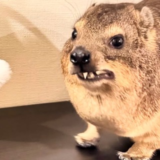 Логотип @eka_pishet - Ека Фомина печатает …