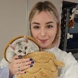 Логотип @ekaterinakoreatg - EkaterinaKoreaTG