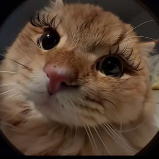 Логотип @ekaterinasergeevna_k - Екатерина Сергеевна 💅🏻