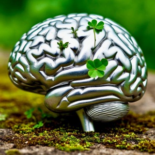 Логотип @ekbsilver - SILVER BRAIN