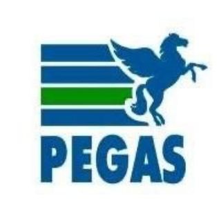 Логотип @ekbtours - Пегас туризм | Турагентство | Горящие туры