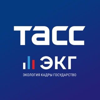 Логотип @ekgtass - ТАСС / ЭКГ-Рейтинг