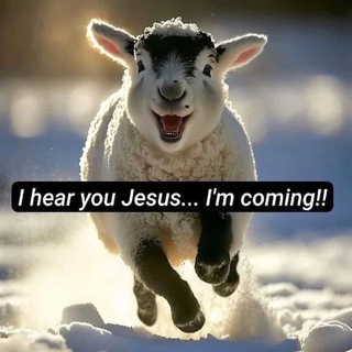 Логотип @ekiwtextbuchfrankhamm - EKIW Textbuch+Kommentare Frank Hamm