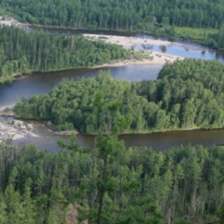 Логотип @ekologiya_sibiri - Экология Сибири