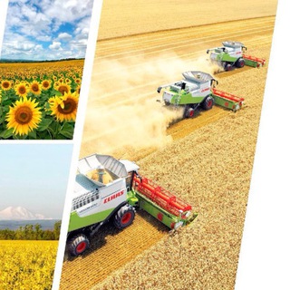 Логотип @ekon26 - Экономика Кировского округа Ставрополья