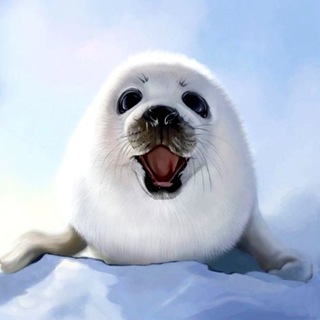 Логотип @ekskursii_na_baikal - Экскурсии Иркутск Байкал