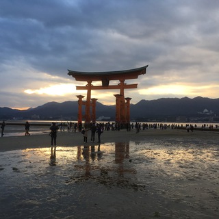 Логотип @ekventor_daily - Ekventor's daily