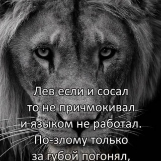 Логотип @el_infa - el_infa