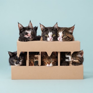 Логотип @el_meme - Elite Memes 🌺🐝💩🫧