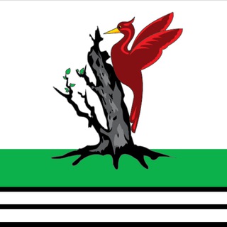 Логотип @elabuga_light - Елабуга Светлый