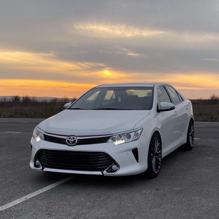 Логотип @elegantmyz - Muz