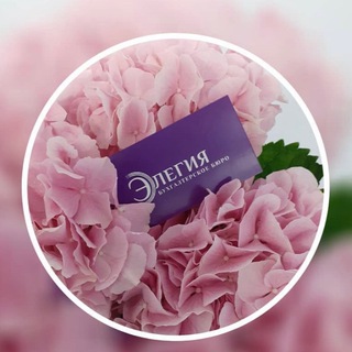 Логотип @elegiya_buhsrv - ЭЛЕГИЯ бухгалтерский учет, кадровый учет, юридическая помощь Румянцево