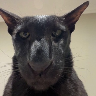 Логотип @elemental_feekh - الله اكبر