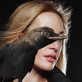 Логотип @elena_bond_birds - Про птичек и не только