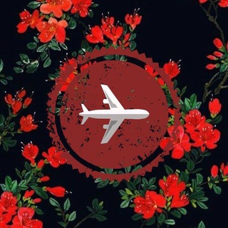 Логотип @elena_pr_elena3 - ИНФОГРАФИКА/WB/OZON ПОСТАВЩИКИ/РЕКЛАМА🚀