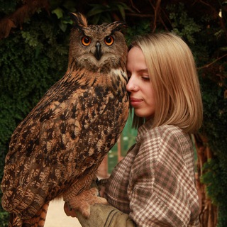 Логотип @elena_sova68 - Мастерская Совы🦉