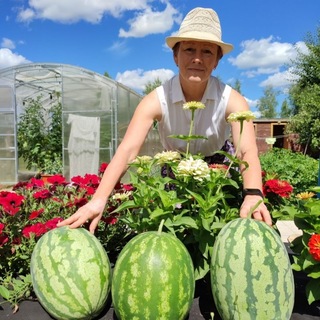 Логотип @elenaselivanova6445 - Елена Селиванова