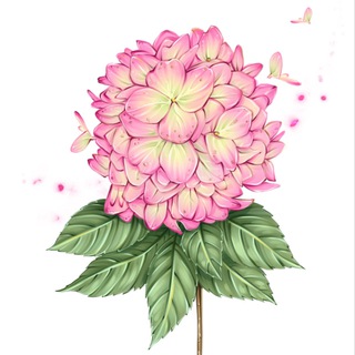 Логотип @elenazhosan_botanical - Художник Елена Жосан