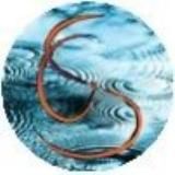 Логотип @elettronelibero - Elettrone Libero